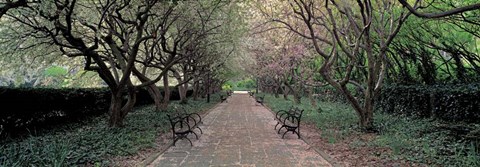 Framed Through Conservatory Garden, Central Park, NYC Print