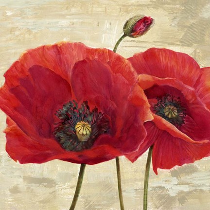 Framed Red Poppies (detail II) Print