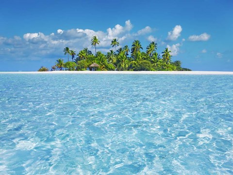 Framed Tropical Lagoon with Palm Island, Maldives Print