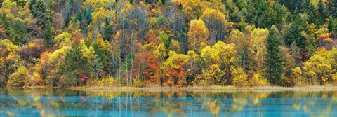 Framed Lake And Forest In Autumn, China Print