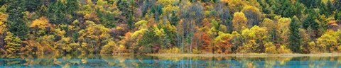 Framed Lake and Forest in Autumn, China Print