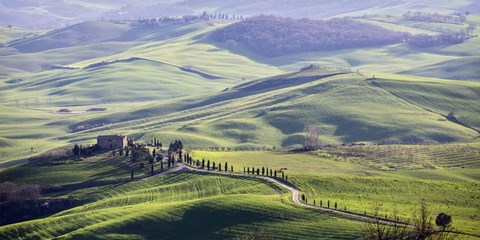 Framed Road in Tuscany Print