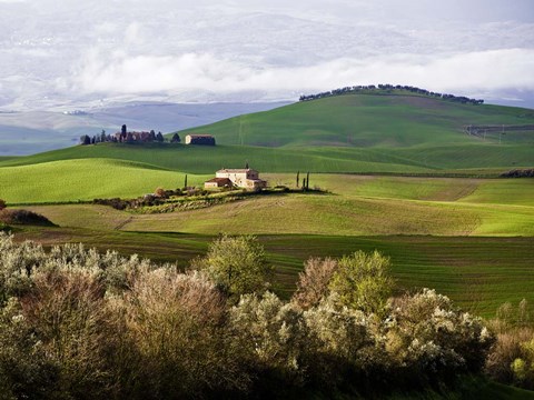 Framed Tuscan Countryside Print