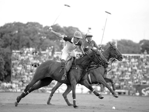 Framed Polo Players, Argentina Print