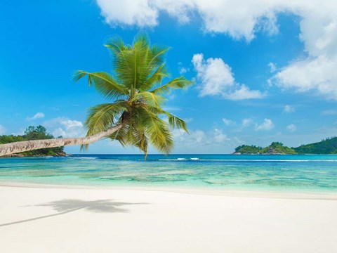 Framed Tropical beach, Seychelles (detail) Print