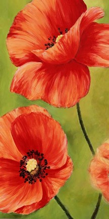 Framed Poppies in the Wind I Print