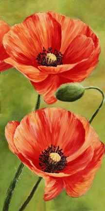 Framed Poppies in the Wind II Print