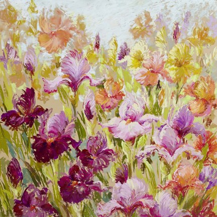 Framed Breathtaking Print