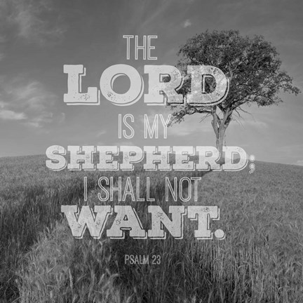 Framed Psalm 23 The Lord is My Shepherd - Field Print