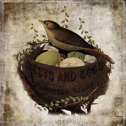 Framed Nest &amp; Eggs Print