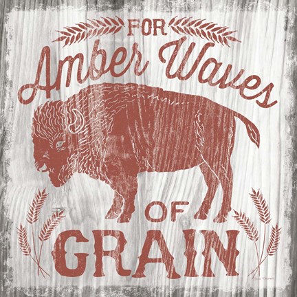 Framed America the Beautiful II Print