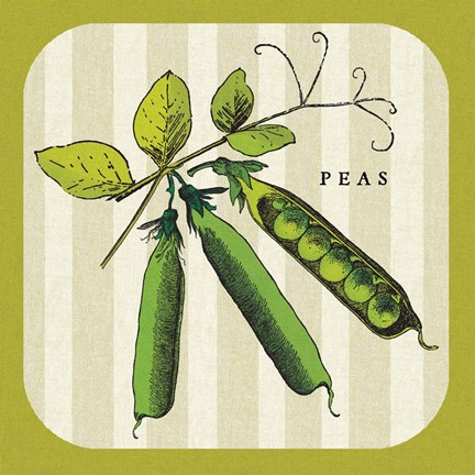 Framed Linen Vegetable IV Print