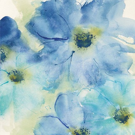 Framed Seashell Cosmos I Print