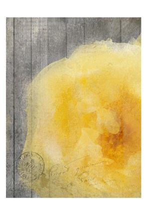 Framed Yellow Bloom Print