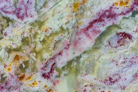 Framed Australian Green Opalite 1 Print