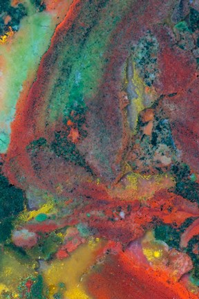 Framed Christmas Jasper 2 Print