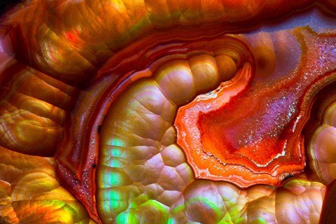 Framed Fire Opal from Australia 1 Print