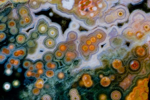 Framed Ocean Jasper from Madagascar 1 Print