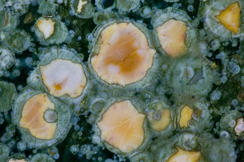 Framed Ocean Jasper from Madagascar 2 Print