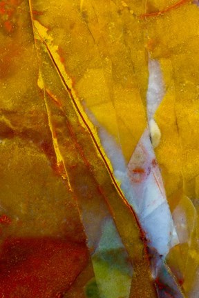 Framed Piute Jasper 2 Print