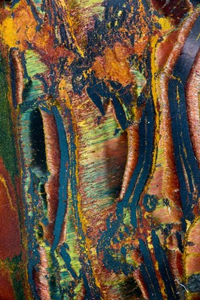 Framed Tiger Eye Print