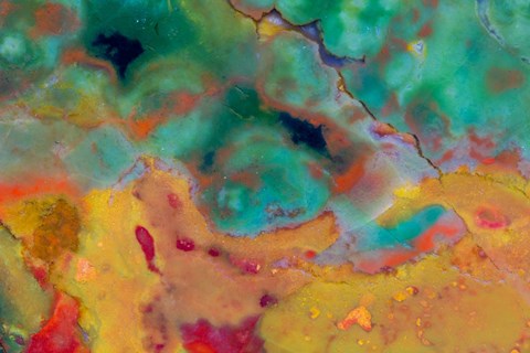 Framed Christmas Jasper 1 Print