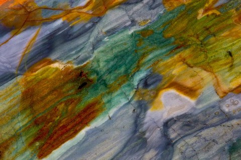 Framed Piute Jasper 1 Print