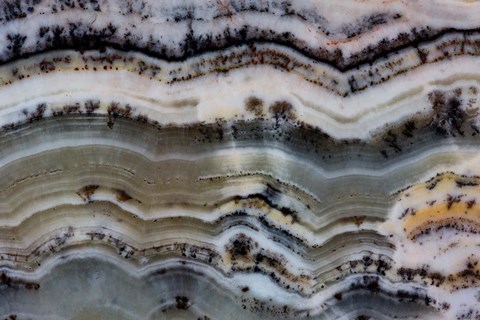 Framed Silver Lace Onyx 2 Print