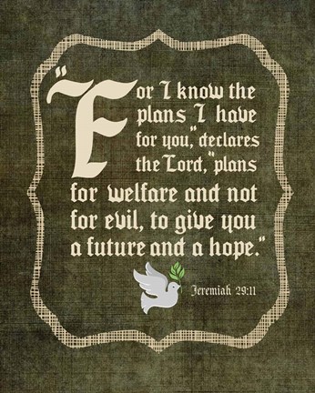 Framed Jeremiah 29:11 For I know the Plans I have for You (White Dove) Print