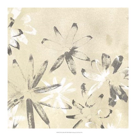 Framed Vellum Flora II Print