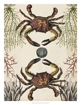 Framed Antiquarian Menagerie - Crab Print