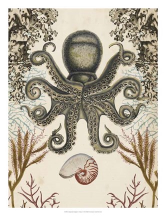 Framed Antiquarian Menagerie - Octopus Print
