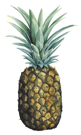 Framed Watercolor Pineapple I Print
