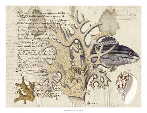 Framed Sealife Journal IV Print