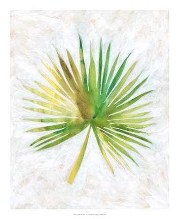 Framed Ocean Side Palms  II Print
