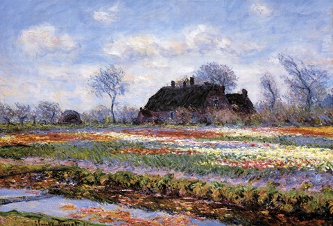 Framed Tulip Fields at Sassenheim Print