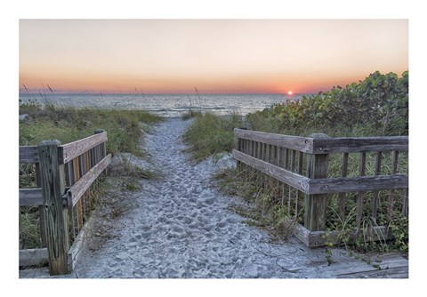 Framed Evening Walk Print