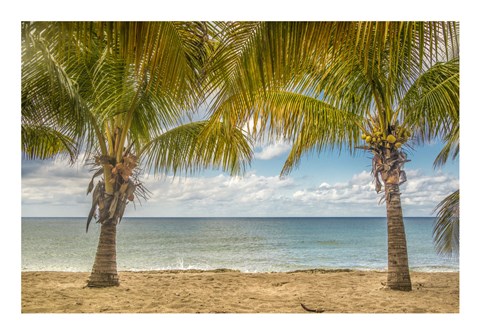 Framed Twin Palms Print