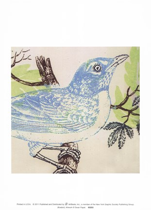 Framed Bluebird Print