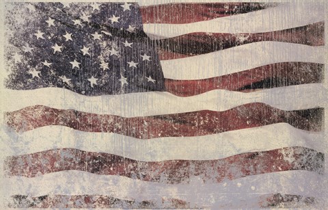 Framed Old Glory Print