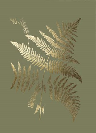 Framed Gold Foil Ferns I on Mid Green - Metallic Foil Print