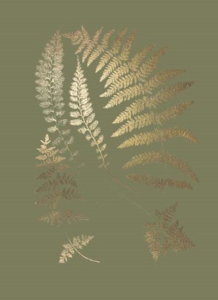 Framed Gold Foil Ferns II on Mid Green - Metallic Foil Print