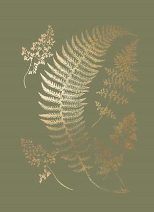 Framed Gold Foil Ferns IV on Mid Green - Metallic Foil Print