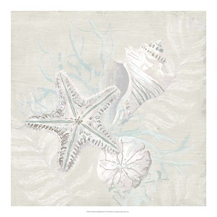 Framed Weathered Shell Sketch I Print