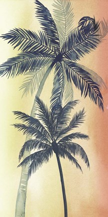 Framed Vintage Palms II Print