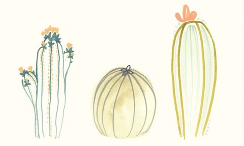 Framed Funky Succulents IV Print