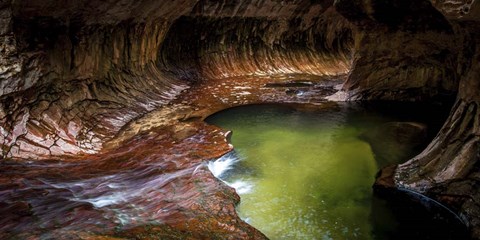 Framed Underground Pond Print