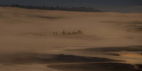 Framed Trees in the Fog Print