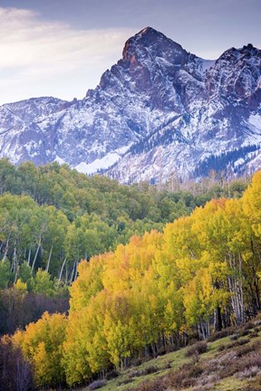 Framed Mountain Foliage 03 Print