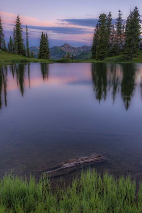 Framed Evergreen Reflections Print